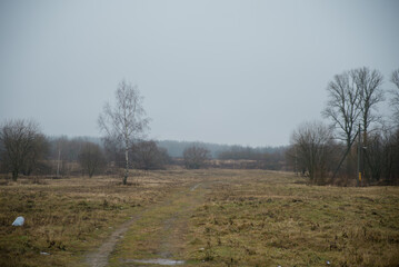 Obraz premium A foggy landscape with a dirt path leading through a grassy field. Sparse trees are visible in the background under a gray sky.