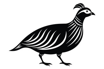 chukar silhouette line art vector illustration with a white background