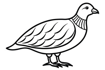 Obraz premium chukar silhouette line art vector illustration with a white background
