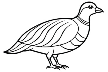Obraz premium chukar silhouette line art vector illustration with a white background