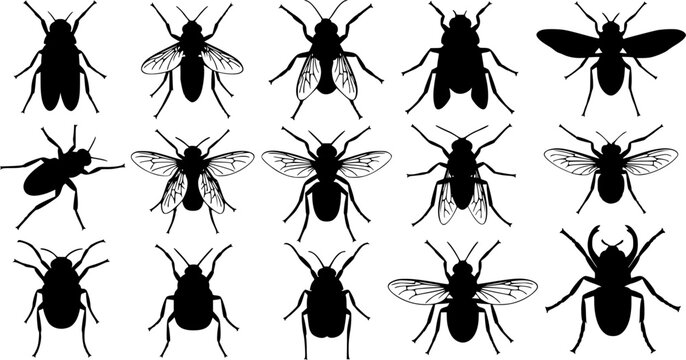 Insect silhouettes collection, fly mosquito bee species, winged bug icon, vector illustration, nature art, entomology design, wildlife fauna, pest control graphic