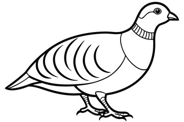 Fototapeta premium chukar silhouette line art vector illustration with a white background