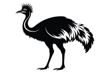 Obraz premium cassowary silhouette line art vector illustration with a white background
