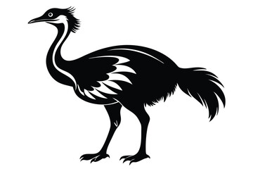 Obraz premium cassowary silhouette line art vector illustration with a white background