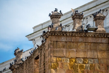 Obraz premium Pigeons perchés sur un monument