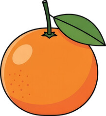 Tangerine Illustration : 귤