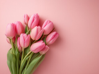 Vibrant pink tulips bouquet on soft pastel background for spring.