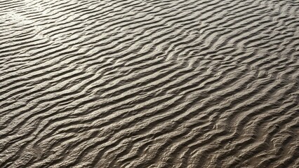Rippled sand texture with light and shadow creating a natural, wavy pattern