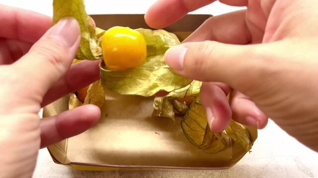 Golden berries of physalis arranged in a paper tray, emphasizing their vibrant colors and textures, as the camera smoothly zooms in to reveal the beauty of the scene