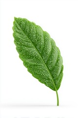 Conceptual illustration of a vibrant leaf patterned with electronic circuitry, symbolizing eco technology, green innovation, and sustainable digital solutions for modern branding.