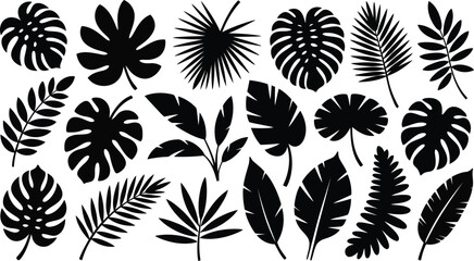 A collection of various black tropical plant leaf silhouettes including monstera and palm leaves