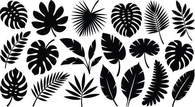 A collection of various black tropical plant leaf silhouettes including monstera and palm leaves