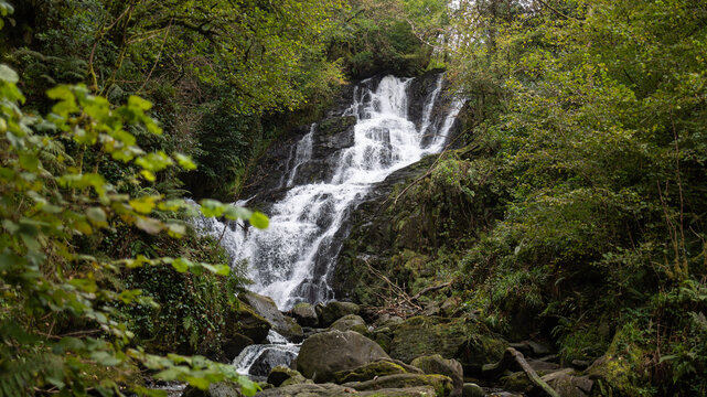Torc Waterfall Cascading Through Forest in Killarney National Park, Ireland