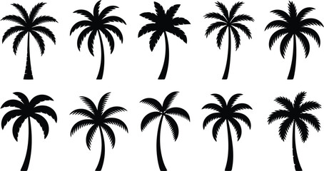 Obraz premium A varied group of black palm tree silhouettes capturing the essence of tropical landscapes and paradise