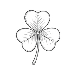 Fototapeta premium Detailed Sketch of a ThreeLeaf Clover for St Patricks Day.