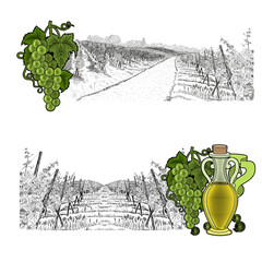 Two drawned sketches landscape of vineyard with house on hills and only vineyard with color elements. White grapes and grapes with bottle of oil or wine. Vector illustration isolated on white.