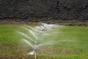Wheel Line Irrigation System in Idaho green field