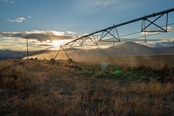 Wheel Line Irrigation System in Idaho green field