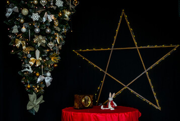 A young swan against the backdrop of a sunset