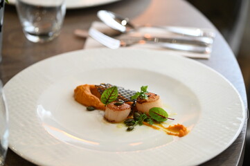 scallops with pumpkin puree, gourmet appetizer, served on a white plate in a restaurant, close-up food photography, elegant fine dining presentation,