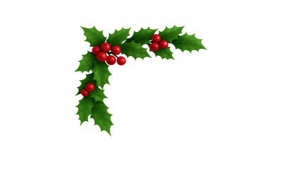 christmas holly berry