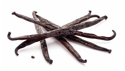 Dried Vanilla Beans on White Background