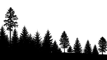 Fototapeta premium Silhouette forest edge illustration, evergreen trees in black on a white background