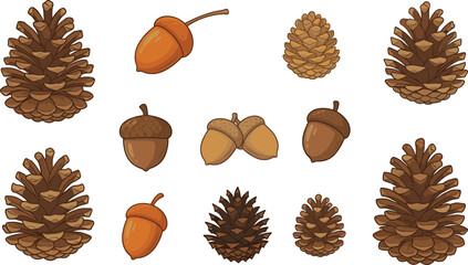Autumn forest elements illustration set, pine cones acorns seeds, woodland nature collection isolated on white background, cartoon vector design, art © Mst Jotsna