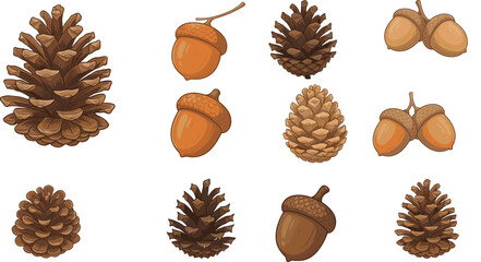 Autumn forest illustration set, pine cones and acorns collection, woodland nature elements isolated on white background, cartoon vector design, artwork © Mst Jotsna