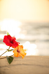 夕日の砂浜とハイビスカス