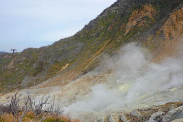 Japan traditional landscapes and fuji mountain