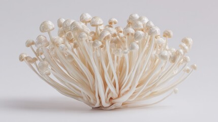 Fresh Enoki mushrooms are arranged beautifully on a light background