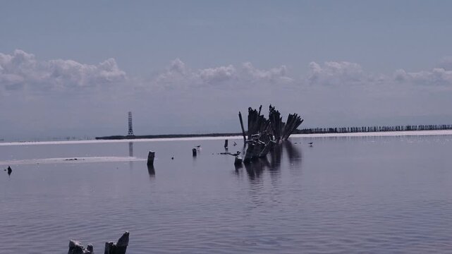 a salty pink lake in clear weather