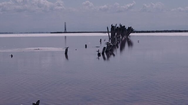 a salty pink lake in clear weather