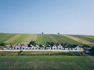 Panorama of Diepolz vine cellars and Vineyards near Grossharras