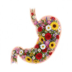 Human stomach filled with flowers in the digestive system, medical concept of healthy stomach. Isolated on white background