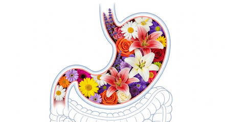 Human stomach filled with flowers in the digestive system, medical concept of healthy stomach. Isolated on white background