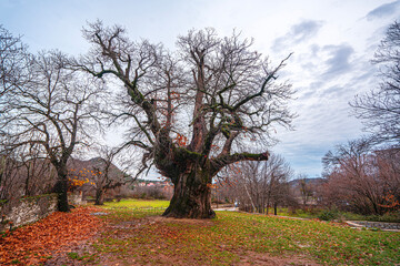 The scenic views of İbradı, which is a high plain in the Taurus Mountains with its buttoned houses and an old chesnut tree in Antalya, Turkey.