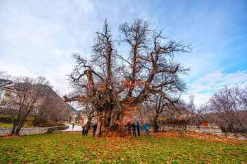 The scenic views of İbradı, which is a high plain in the Taurus Mountains with its buttoned houses and an old chesnut tree in Antalya, Turkey.