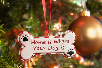 Hanging dog bone Christmas ornament in the tree