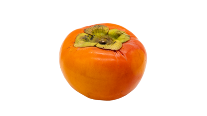 柿 フレッシュな秋の果物　（背景透過）