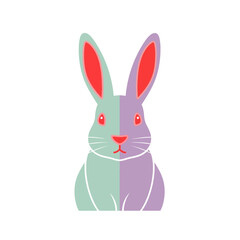 Obraz premium A stylized illustration of a two-toned rabbit with pink inner ears and eyes, presented in a graphic, minimalist design