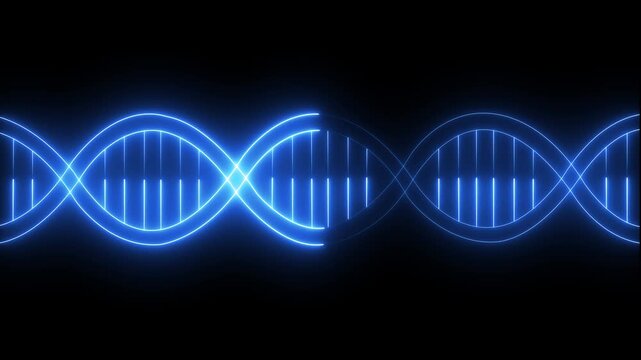 Neon DNA icon animation on black background. DNA icon animation in trendy design for medical. DNA spiral icon and structure hereditary gene genetic mutation healthy genome genetic concept.4k video