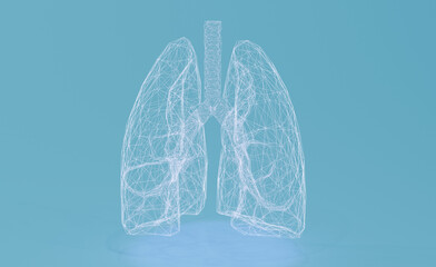 Minimalist wireframe lungs illustration on a clear medical blue background, perfect for healthcare and anatomy concepts.