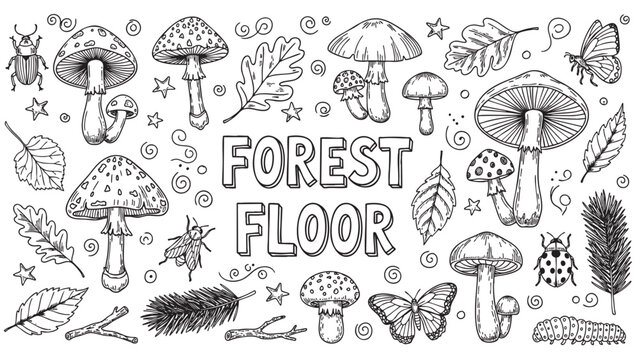 A charming hand-drawn illustration featuring various mushrooms, leaves, insects like butterflies and ladybugs, and pine needles on a white background.