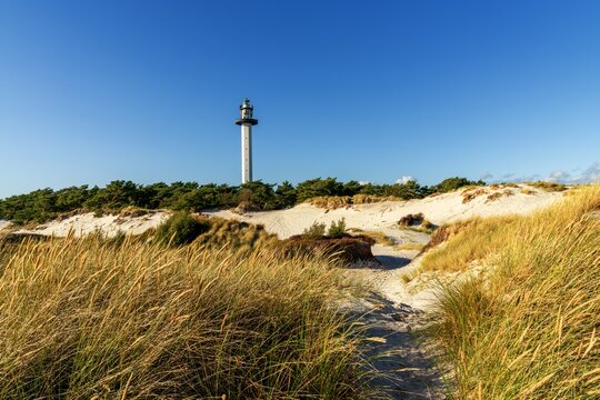 view of the Dueodde Lighthouse with sand dunes and reeds in the foreground