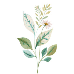 Watercolor botanical branch with chamomile flower isolated on black background
