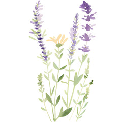 Watercolor lavender and wildflower bouquet illustration isolated on black background