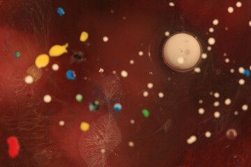 Obraz premium Liquid Art in Flowing Color