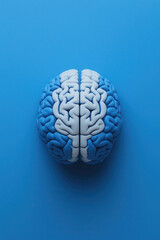 Creative concept of blue and white human brain on blue background symbolizing intelligence, innovation, and scientific thinking.